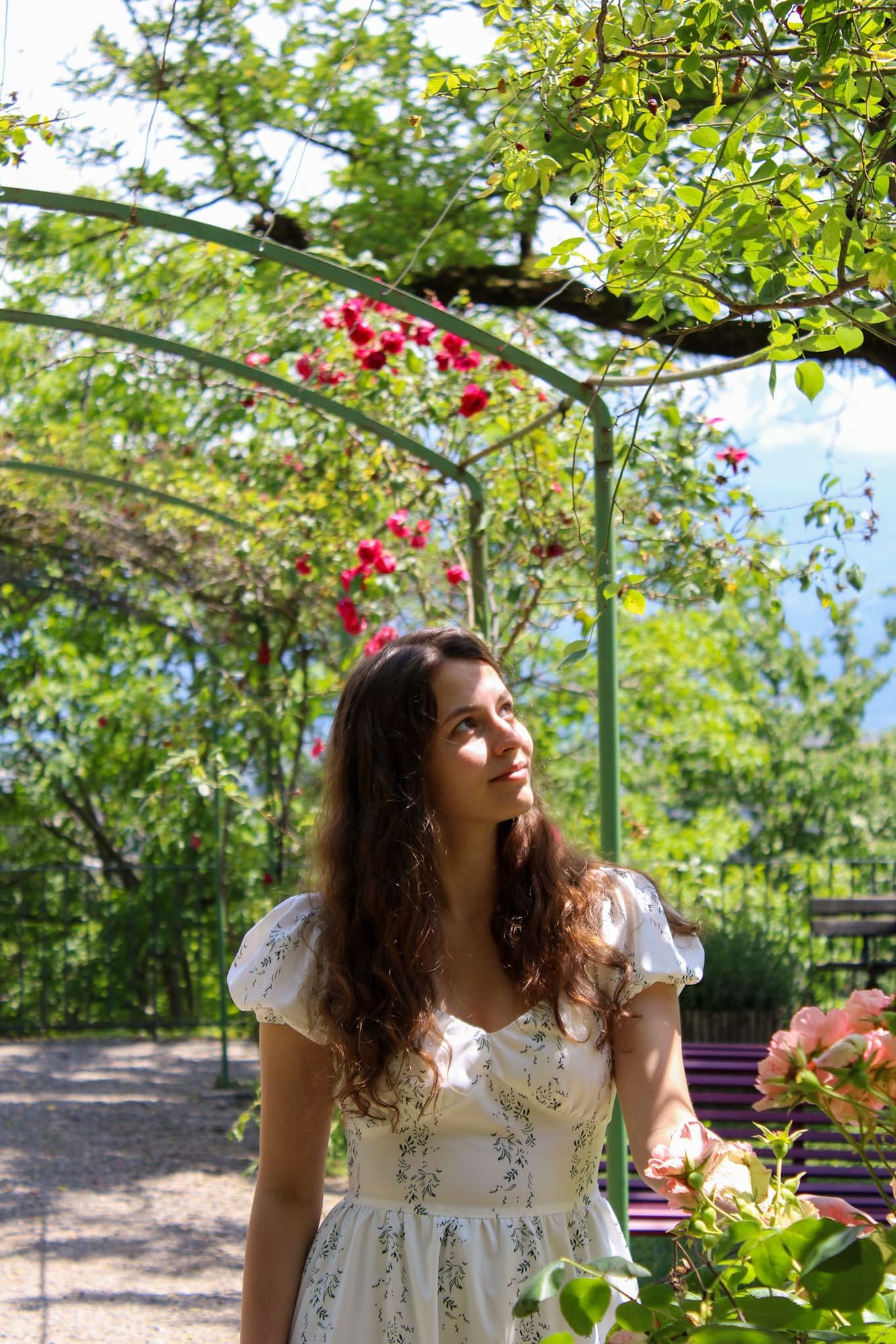 Portrait sous une pergola de rosiers rouges, regard levé vers la lumière, inspiration photo de fiançailles en extérieur à Grenoble