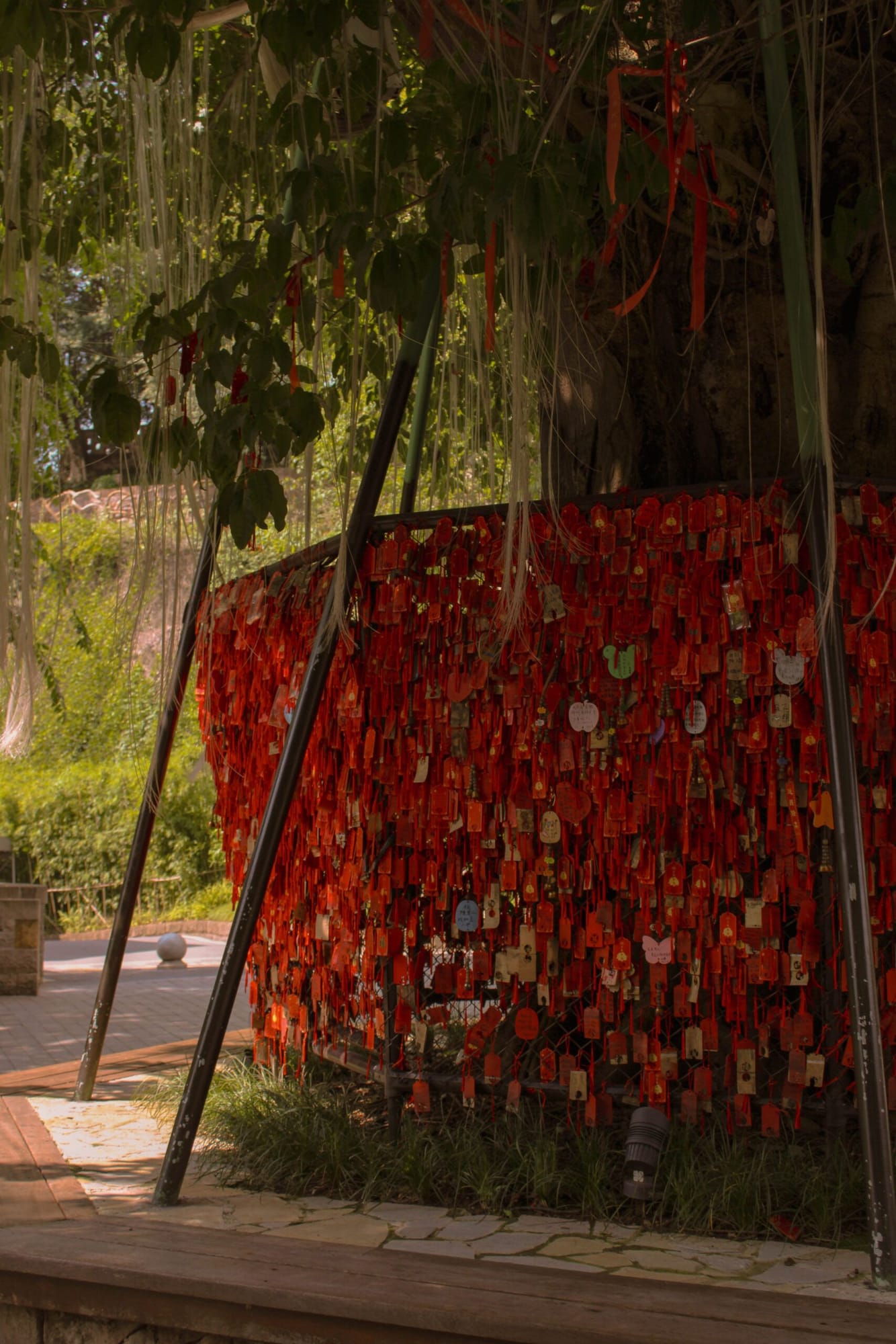 Chine et Hong Kong, photo 10 par Emma Bortot photographe